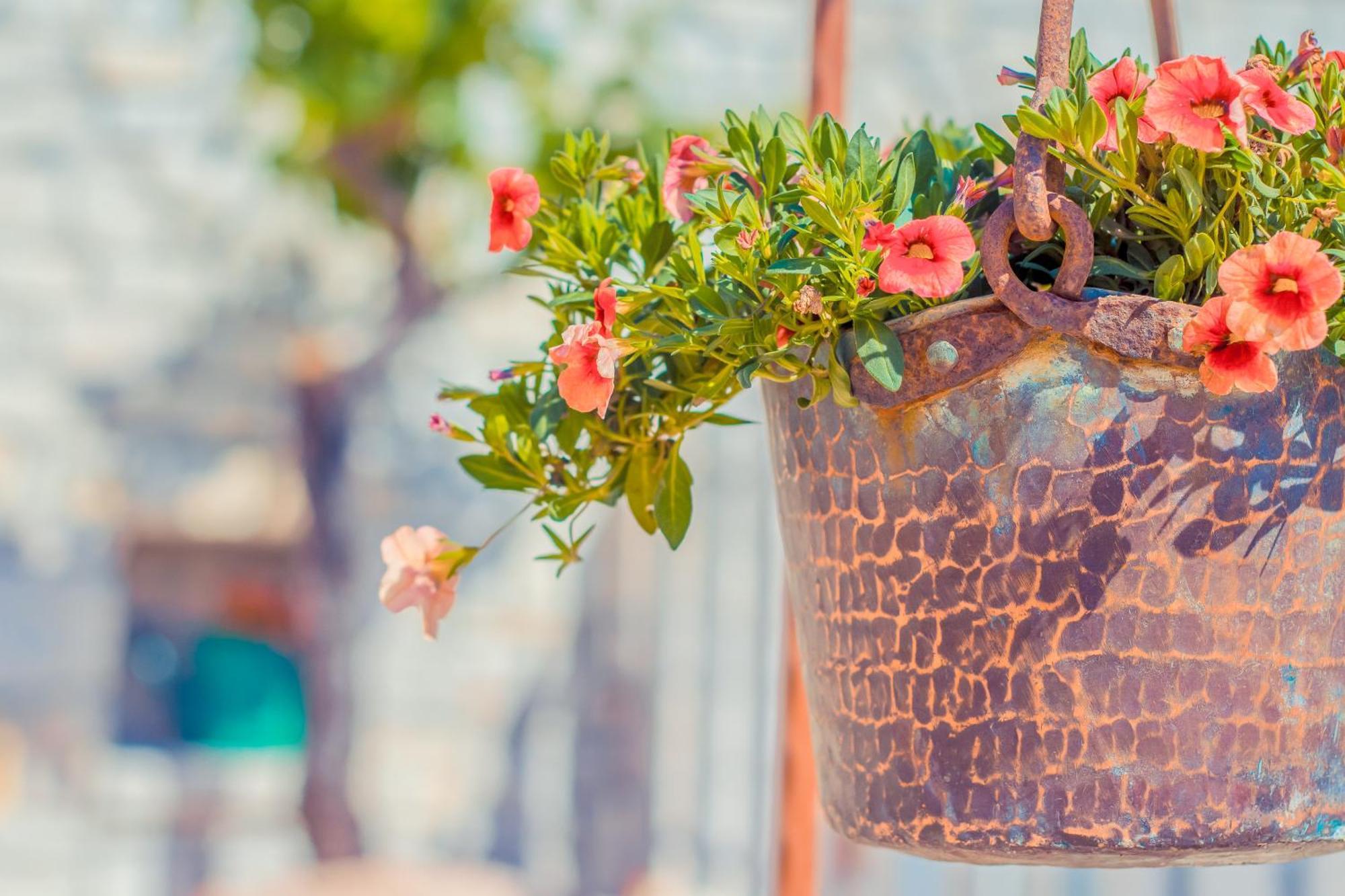 Navolte Trulli E Quiete Con Piscina Βίλα Locorotondo Εξωτερικό φωτογραφία